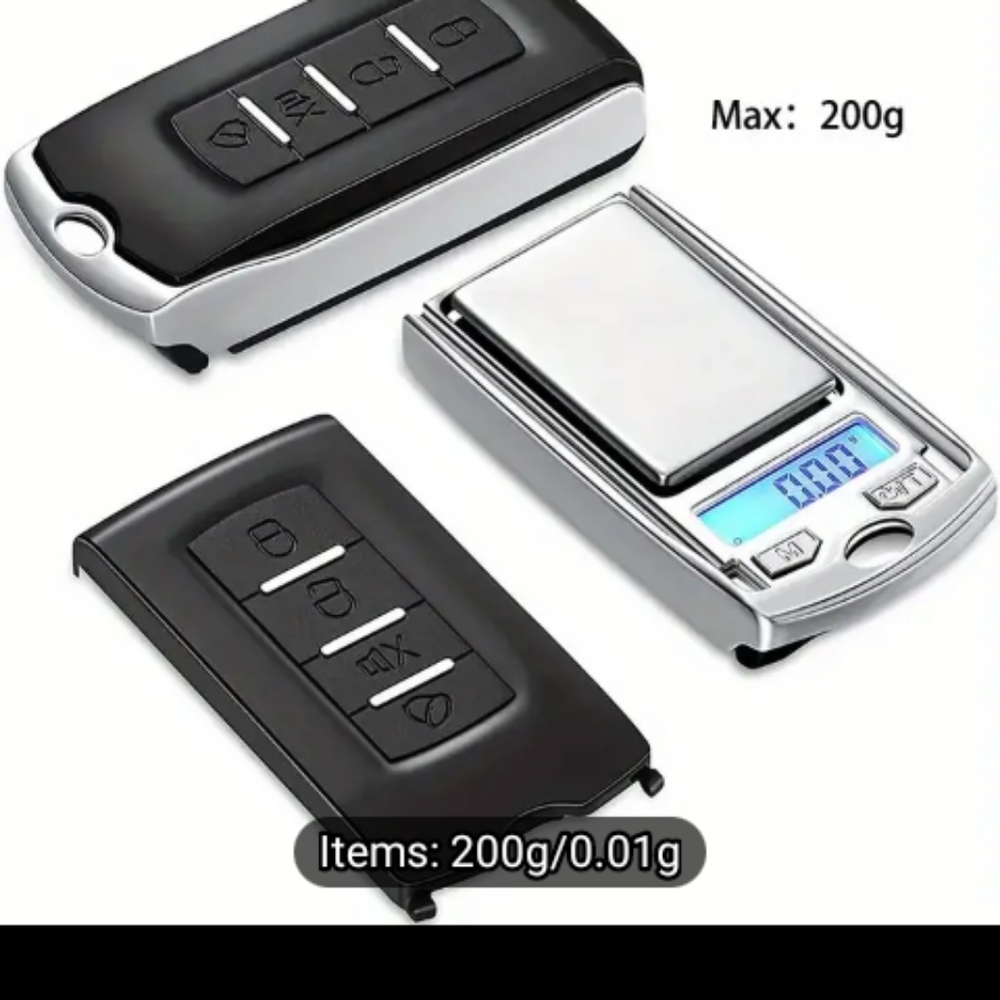 100 G key fob scales